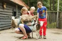 Kinderen ontmoeten de dieren in de kinderboerderij