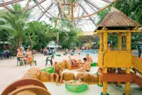 Kinderen vermaken zich in het Kids Junglebad