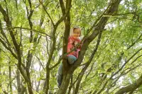 Meisje in een boom op Landal Miggelenberg