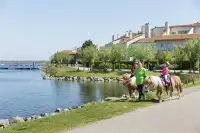 Pony rijden over het park