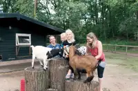 Kinderen ontmoeten de geitjes in de kinderboerderij