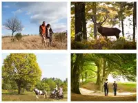 10 manieren om de Veluwse natuur te ontdekken