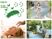 De Birdies van Center Parcs, wat betekenen de Birdies?