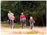 Top 5 vakantieparken voor een Drentse fietsvakantie