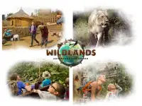 Vakantieparken vlakbij Wildlands Adventure Zoo Emmen