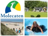 Voordelig nazomeren bij Molecaten