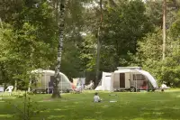Caravans op de camping
