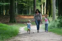 De bosrijke omgeving van DroomPark De Hooge Veluwe