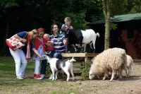 Kinderen bezoeken de dieren in de kinderboerderij