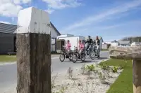 Mensen fietsen over het park