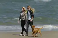 Mensen wandelen over het strand