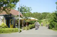 Mensen fietsen over het park