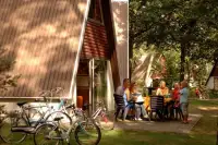 Bungalow op Roompot Bospark 'T Wolfsven