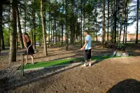 6. Landal Dwergter Sand - Unieke ligging
