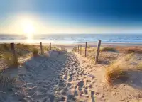 6. Landal Strand Resort Ouddorp Duin