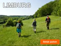 Vakantieparken in Limburg